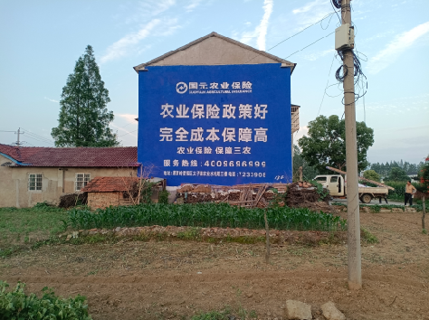 桐梓墙体广告的优劣势你知道吗？